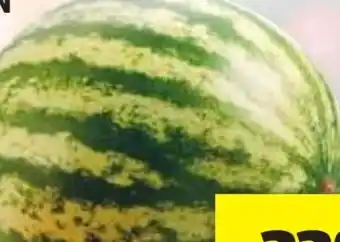 Hofer Hofer Marktplatz Wassermelonen Angebot