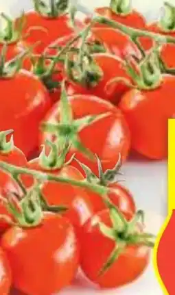 Hofer Hofer Marktplatz Midi-Rispentomaten Angebot