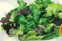 Hofer Hofer Marktplatz Bio-Pflücksalat Angebot