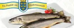 SPAR Gourmet Fischzucht Gut Dornau Bachforelle Angebot