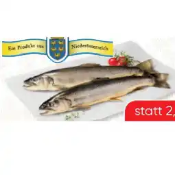 SPAR Gourmet Bachforelle SPAR Gourmet Angebot
