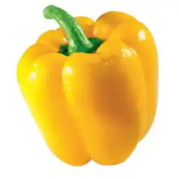 Spar knackiger Paprika gelb oder rot SPAR Angebot