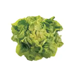 Spar zarter, frischer Kopfsalat SPAR Angebot