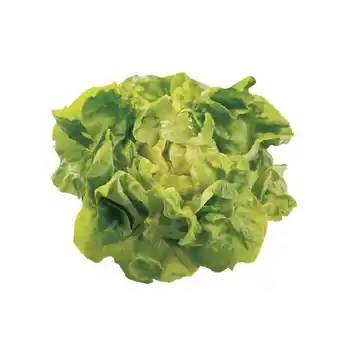 Spar zarter, frischer Kopfsalat SPAR Angebot