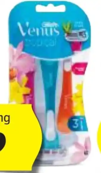 Hofer Gillette Venus Tropical Einwegrasierer Angebot