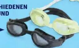 Hofer Crane Schwimmbrille Angebot