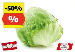 Hofer HOFER MARKTPLATZ Eisbergsalat aus Österreich Angebot