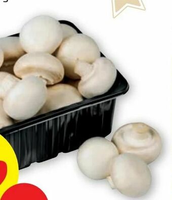 PENNY Champignons Angebot
