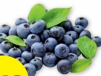 PENNY Heidelbeeren Angebot