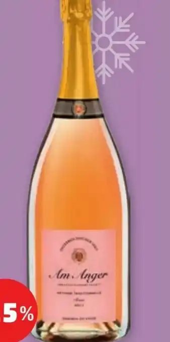 PENNY Rose Magnum Angebot