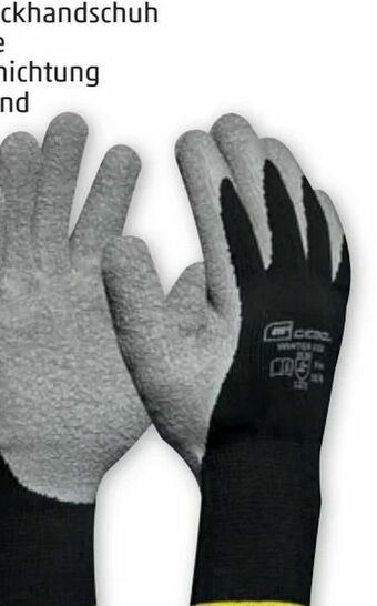PENNY Winter-Handschuhe Winter Eco Angebot