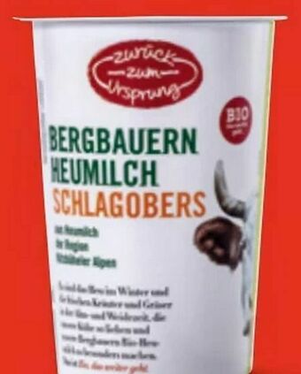 Hofer Bio-Bergbauern Schlagobers Angebot