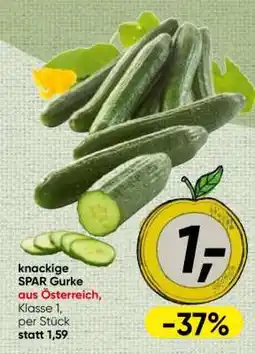 Spar knackige SPAR Gurke Angebot