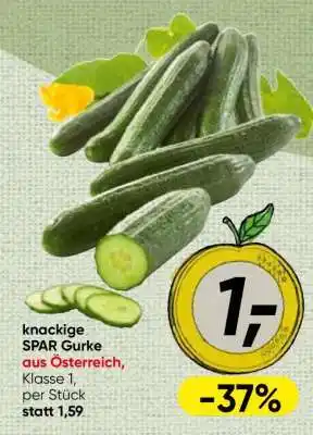 Spar knackige SPAR Gurke Angebot