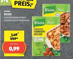 Hofer KNORR BASIS Angebot