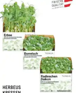 Metro Kresse Herbeus Angebot