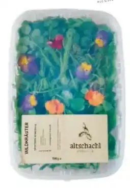 Metro Altschachl Kräuter Wildkräutersalat Angebot
