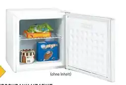 Metro Aro Minigefrierschrank MZ46WE Angebot