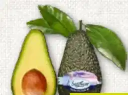 ADEG SanLucar Avocado Angebot