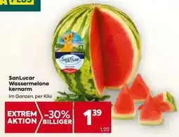 Billa SanLucar Wassermelone kernarm Angebot