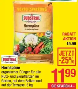 Maximarkt Hornspäne Angebot