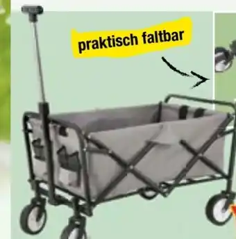 Maximarkt Faltbarer Bollerwagen Angebot