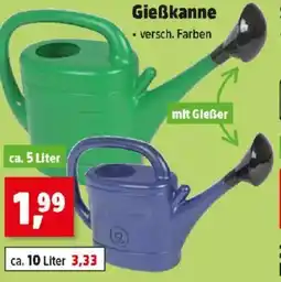 Thomas Philipps Gießkanne Angebot