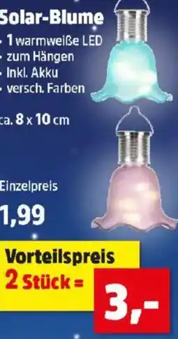 Thomas Philipps Solar Blume Angebot