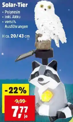 Thomas Philipps Solar Tier Angebot