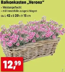 Thomas Philipps Balkonkasten Verona Angebot
