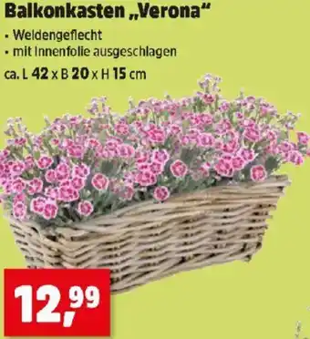 Thomas Philipps Balkonkasten Verona Angebot