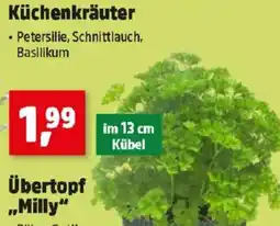Thomas Philipps Küchenkräuter Angebot
