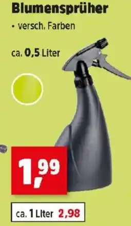 Thomas Philipps Blumensprüher Angebot