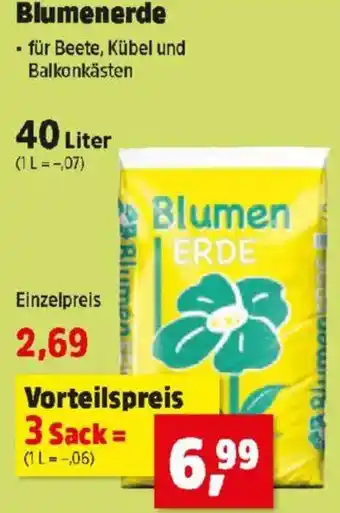 Thomas Philipps Blumenerde Angebot