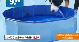 Thomas Philipps Hundepool Angebot