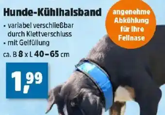 Thomas Philipps Hunde-Kühlhalsband Angebot