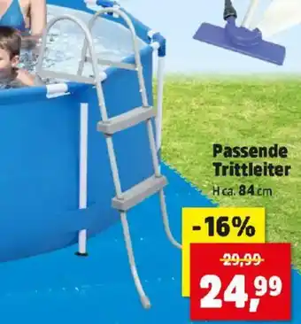 Thomas Philipps Passende Trittleiter Angebot