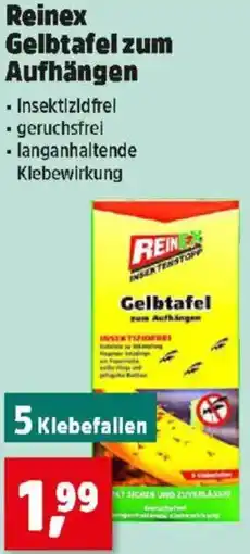 Thomas Philipps Reinex Gelbtafel zum Aufhängen Angebot