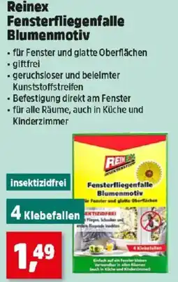 Thomas Philipps Reinex Fensterfliegenfalle Blumenmotiv Angebot