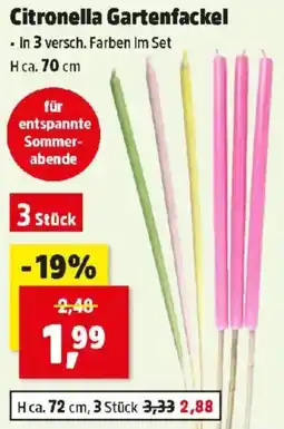 Thomas Philipps Citronella Gartenfackel Angebot
