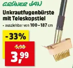 Thomas Philipps GRÜNER JAN Unkrautfugenbürste mit Teleskopstiel Angebot