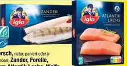 Maximarkt Iglo Premium Atlantik Lachs Angebot