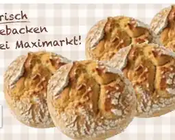 Maximarkt Schusterlaibchen Angebot