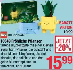 Maximarkt Fröhliche Pflanzen Angebot