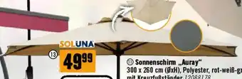Hornbach Wandschirm Bordeaux Angebot