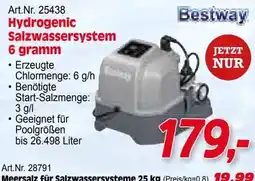 Zgonc Bestway Hydrogenic Salzwassersystem Angebot