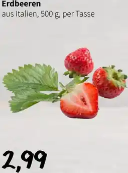 Der Grissemann Erdbeeren Angebot
