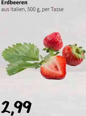 Der Grissemann Erdbeeren Angebot