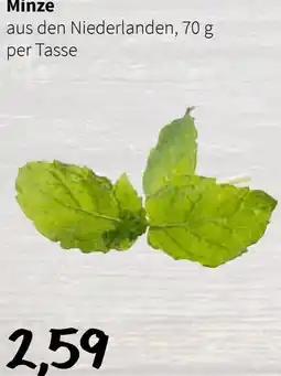 Der Grissemann Minze Angebot