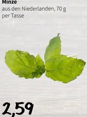 Der Grissemann Minze Angebot